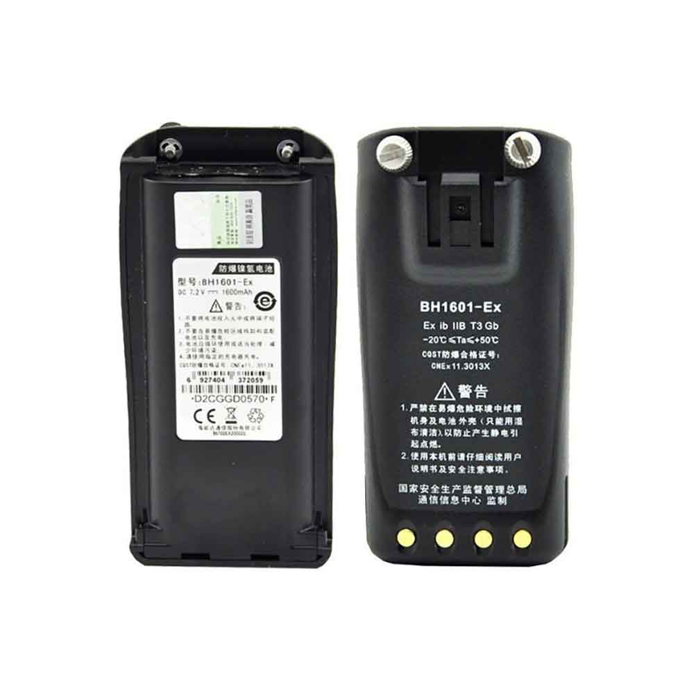 BH1601-Ex batterie