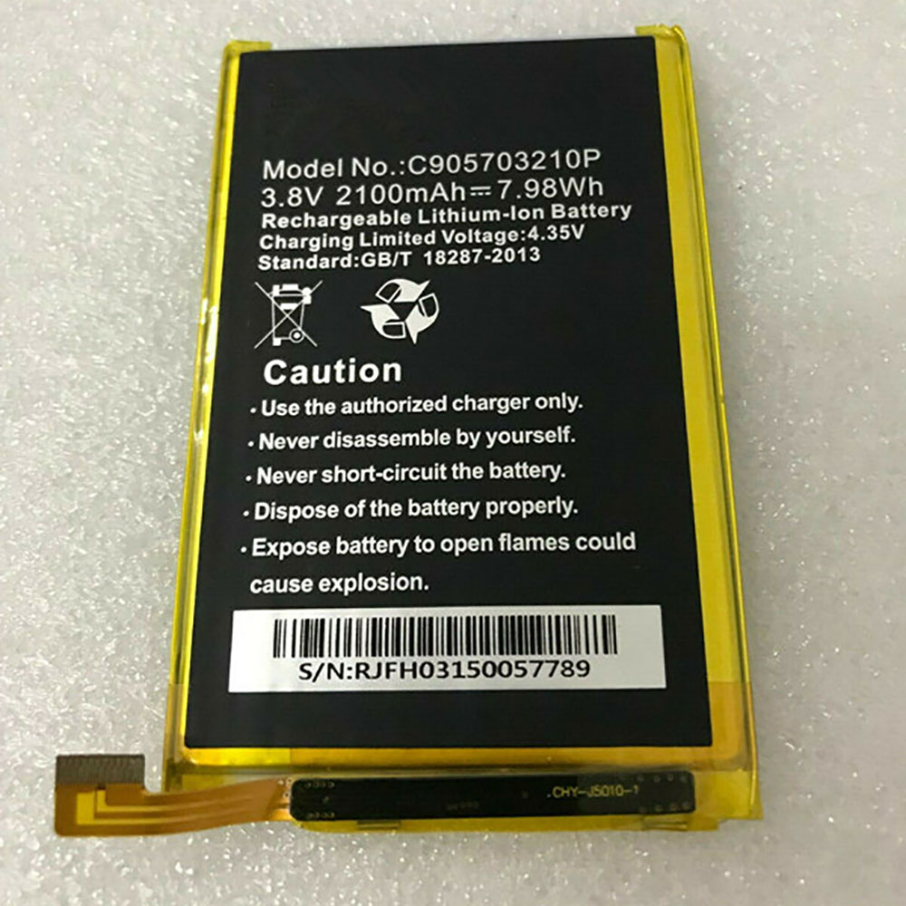 C905703210P batterie