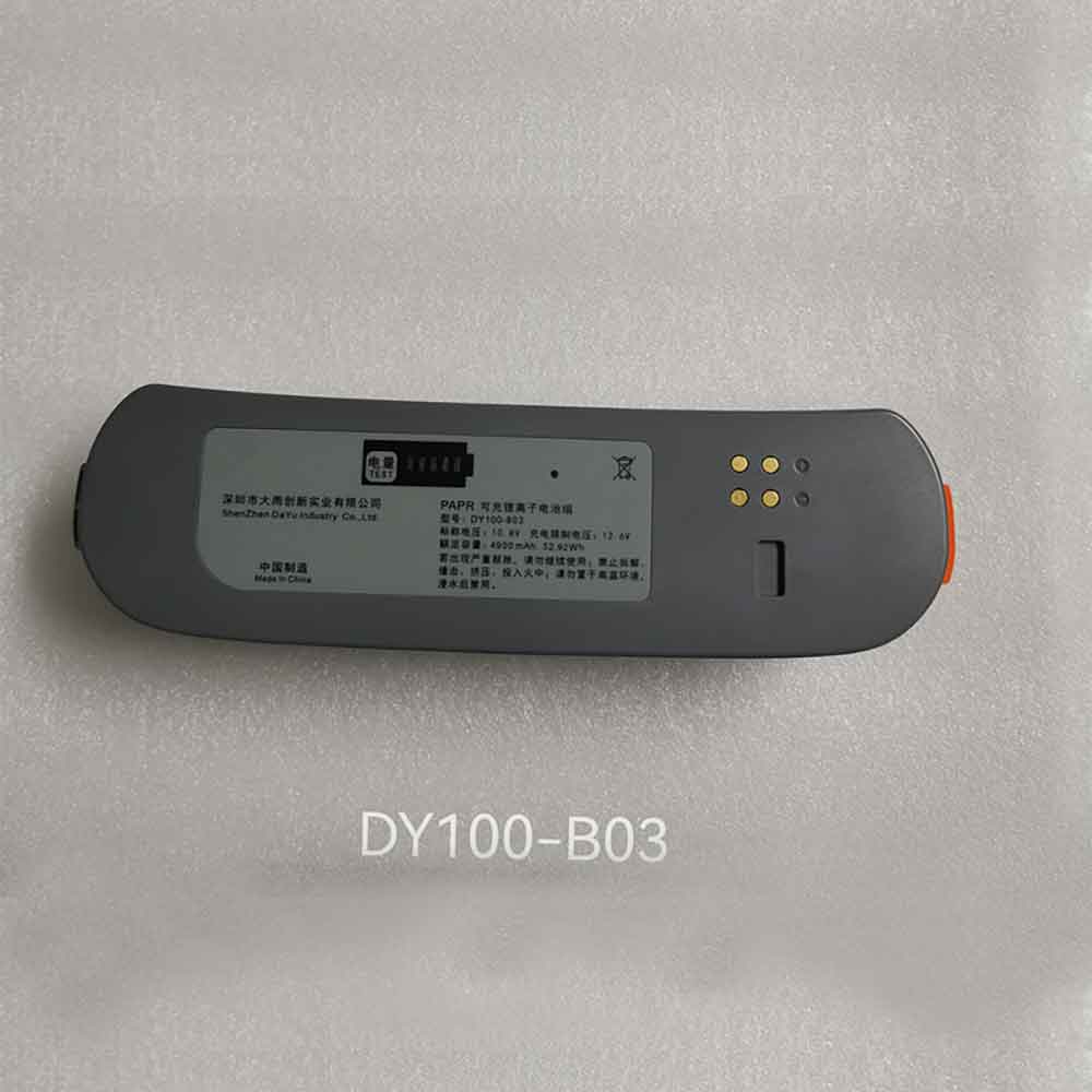 DY100-B03 batterie
