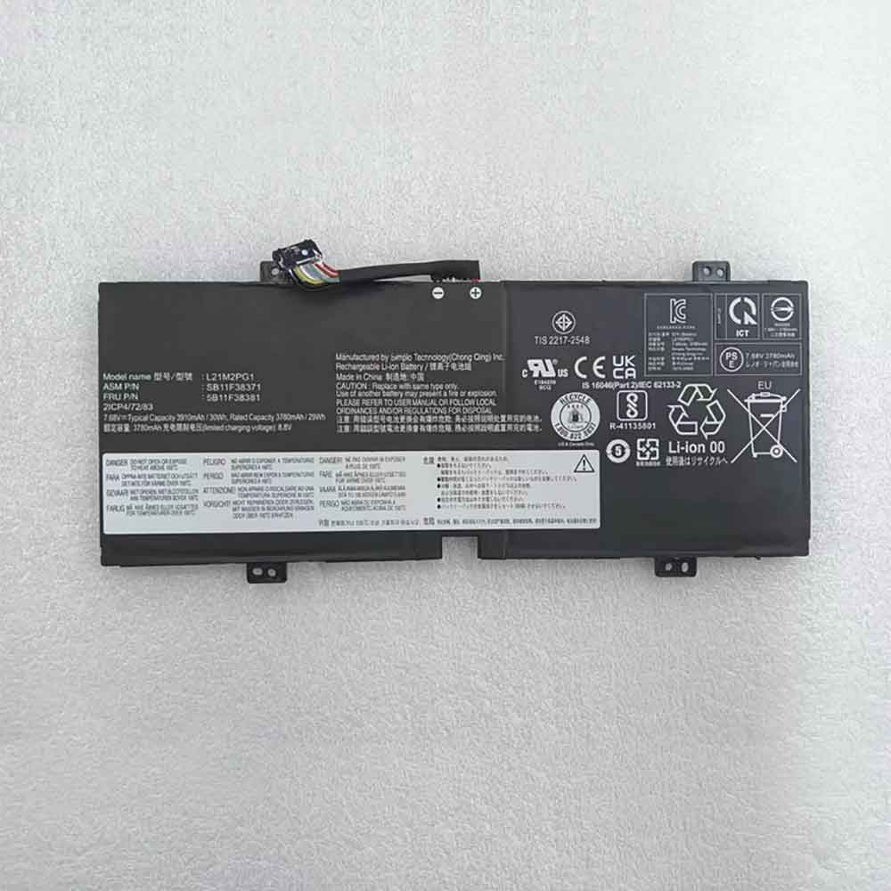L21M2PG1 batterie