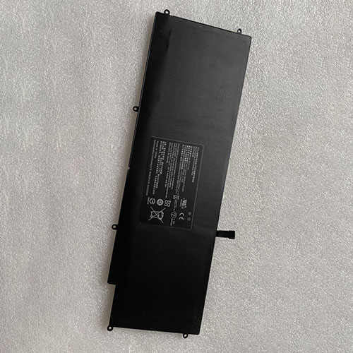 RC30-0196 batterie