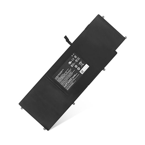 RZ09-0168 batterie