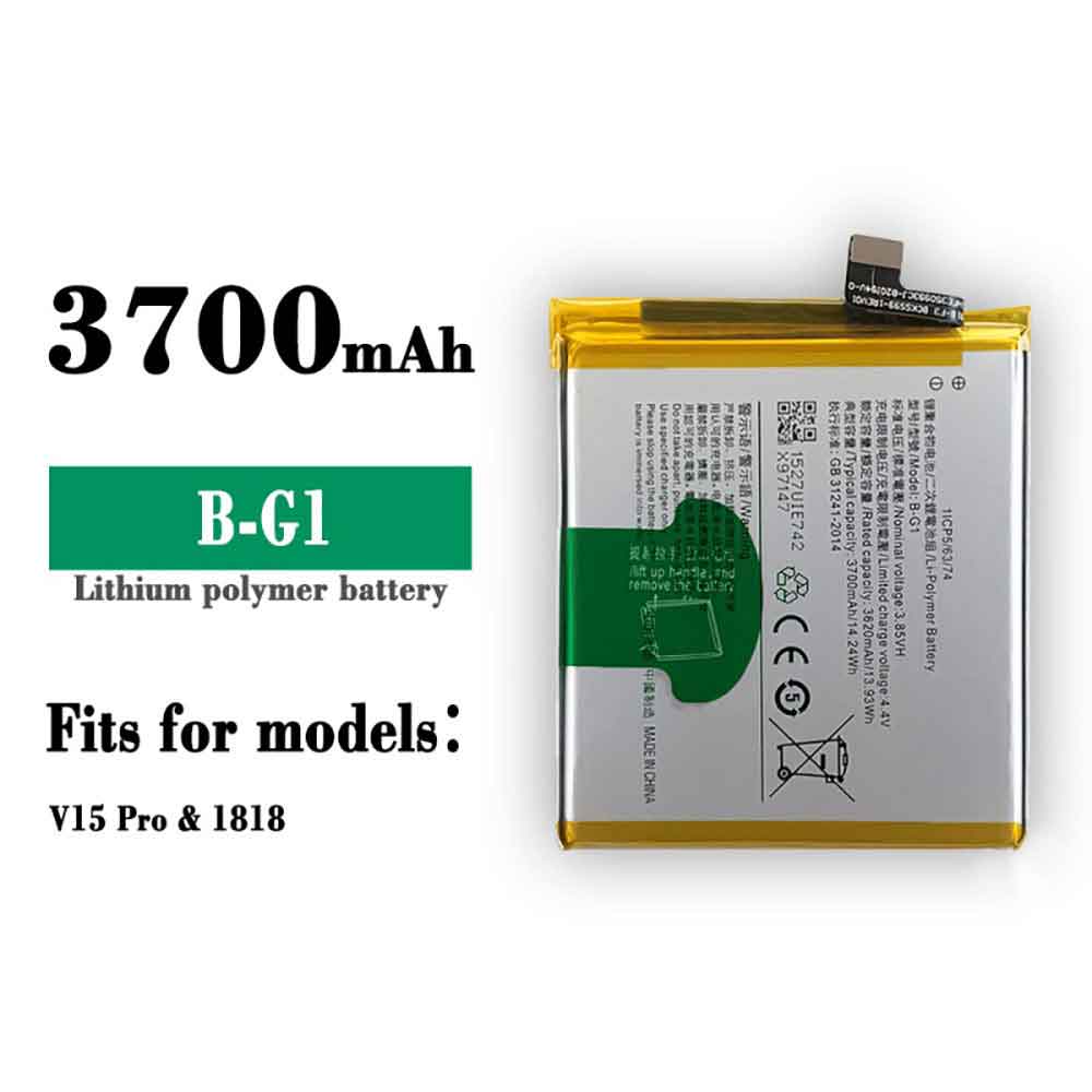 B-G1 batterie