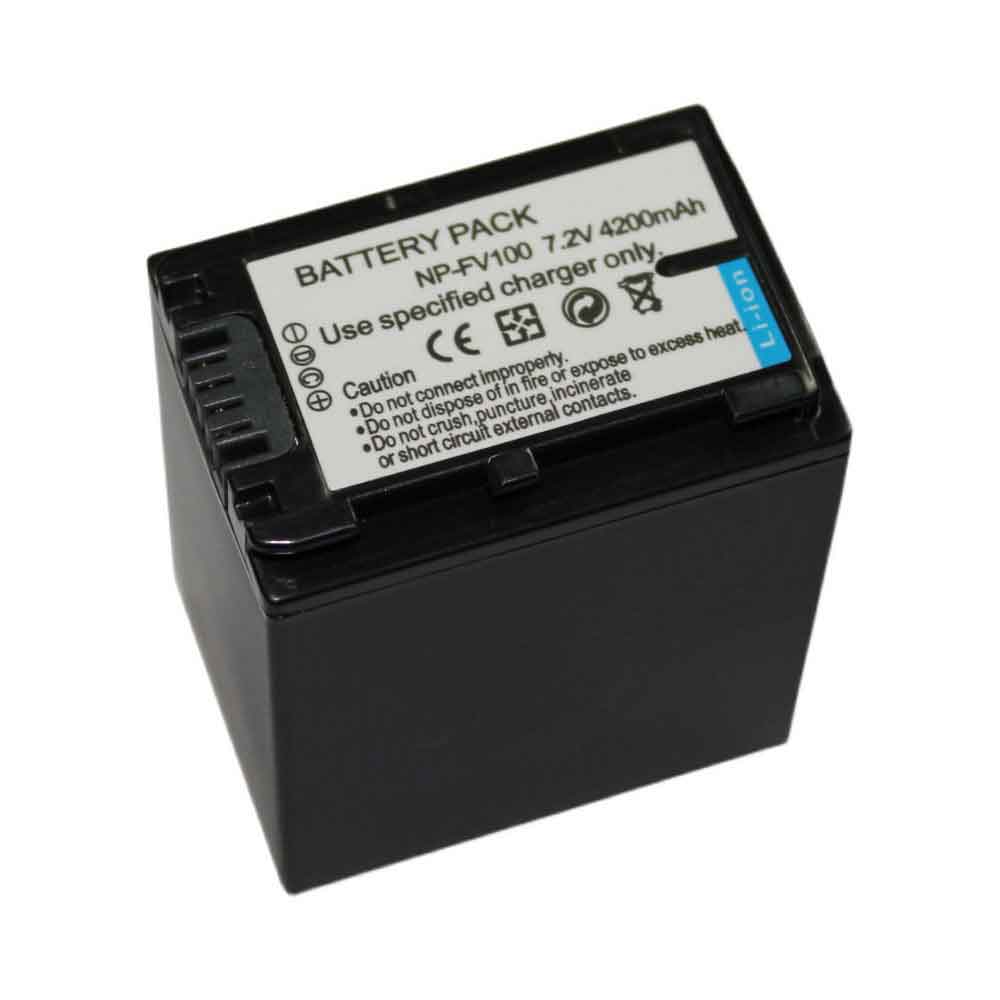 NP-FV100 batterie